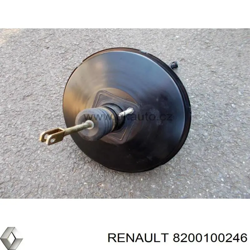 Купити 8200100246 Renault (RVI) ВПГ