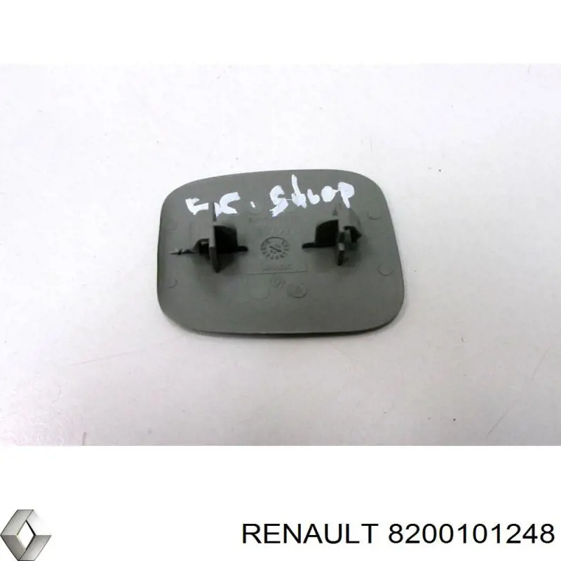  8200101248 Renault (RVI)