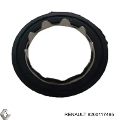 Купити 8200117465 Renault (RVI) 