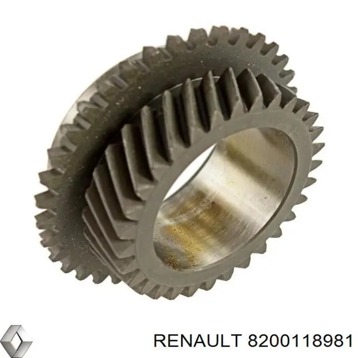 8200118981 Renault (RVI) 