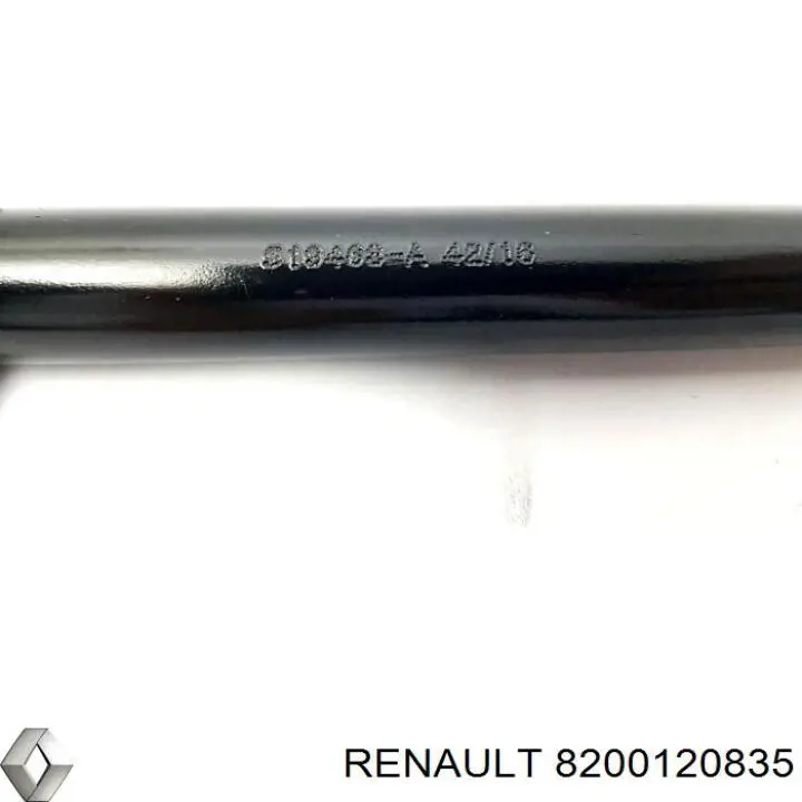  8200120835 Renault (RVI)