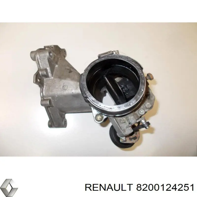 Купити 8200124251 Renault (RVI) 