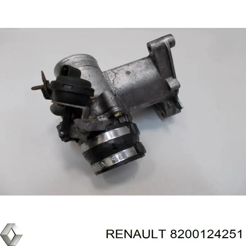  8200124251 Renault (RVI)