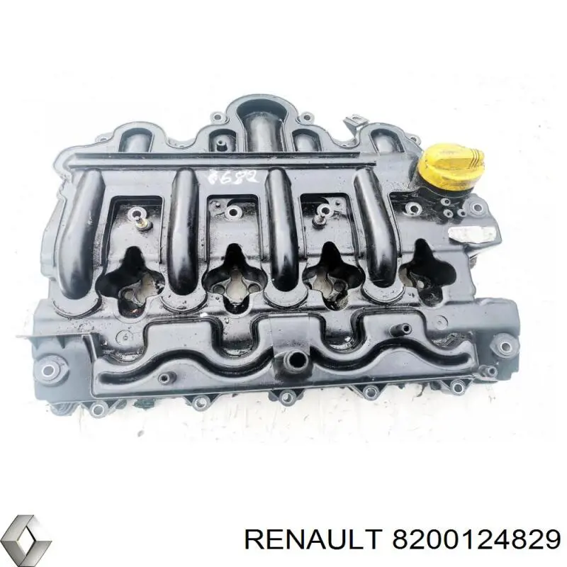  8200124829 Renault (RVI)