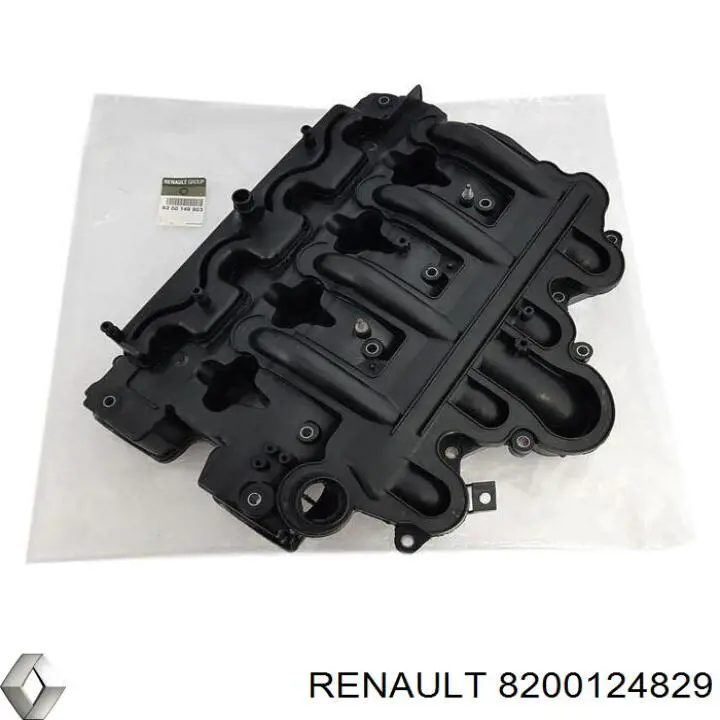  8200124829 Renault (RVI)
