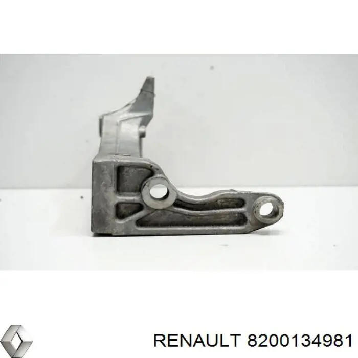  8200134981 Renault (RVI)
