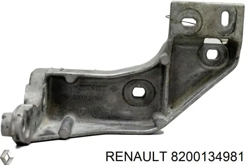 Купити 8200134981 Renault (RVI) 