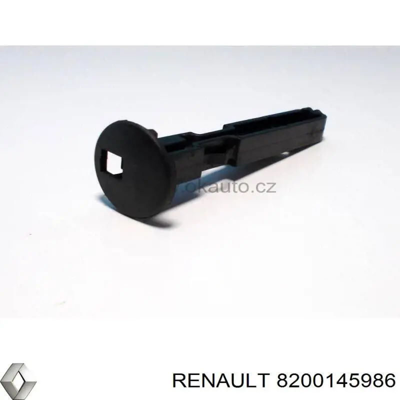  8200145986 Renault (RVI)