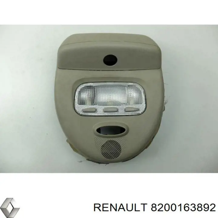  8200163892 Renault (RVI)