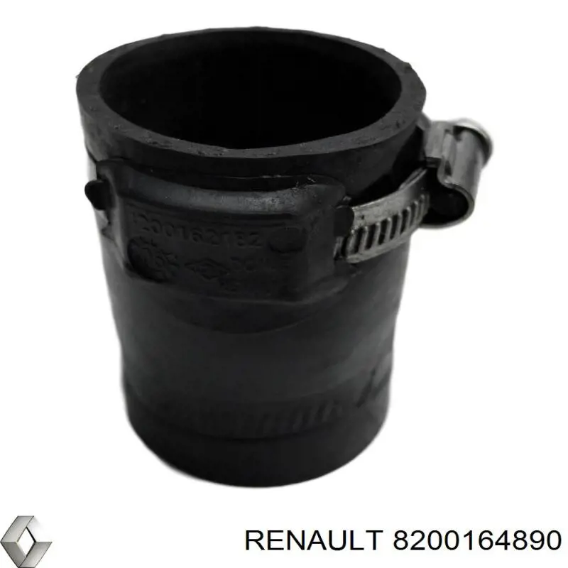  8200164890 Renault (RVI)