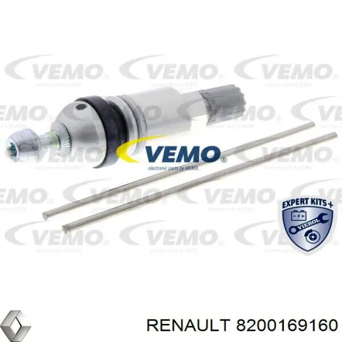  8200169160 Renault (RVI)