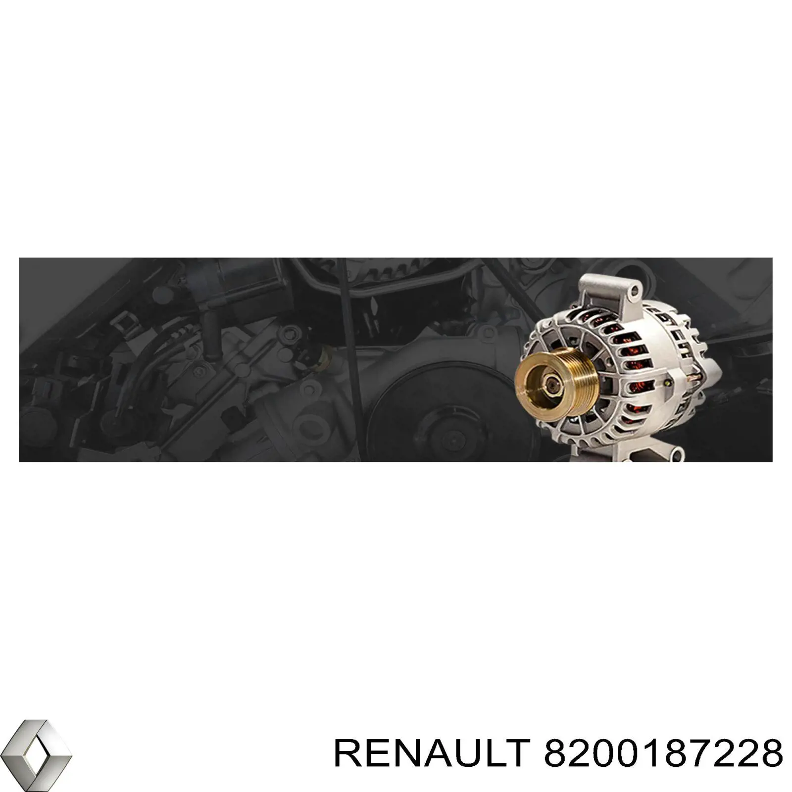 8200187228 Renault (RVI) 