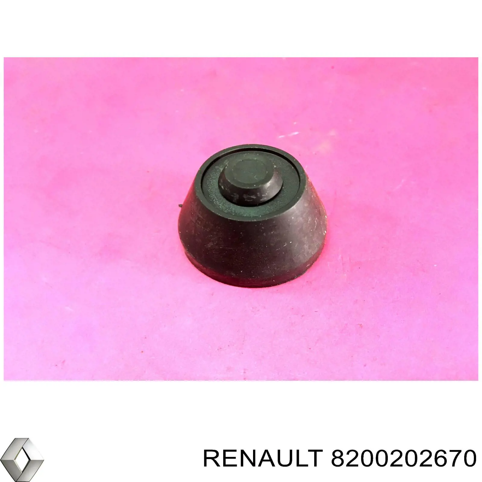  8200202670 Renault (RVI)