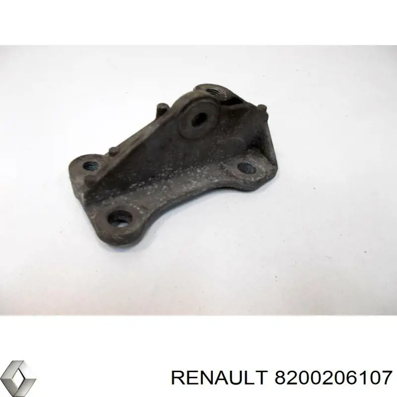  8200206107 Renault (RVI)