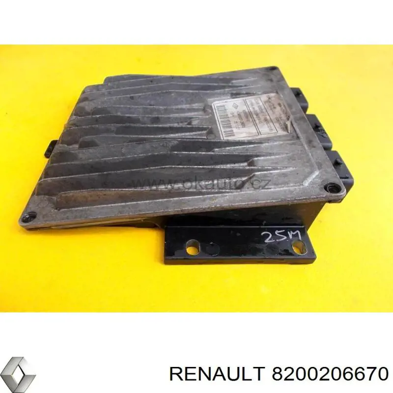  8200206670 Renault (RVI)