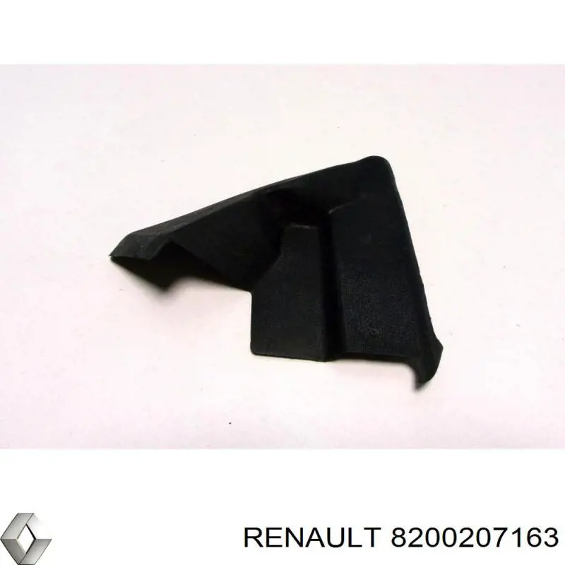 8200207163 Renault (RVI) заглушка жабо збоку