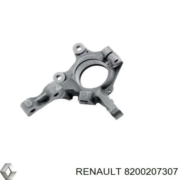 Купити 8200207307 Renault (RVI) Цапфа поворотного кулака