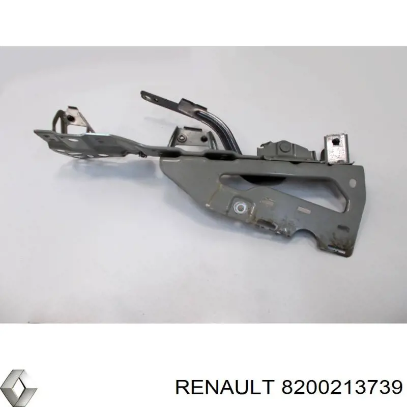  8200213739 Renault (RVI)