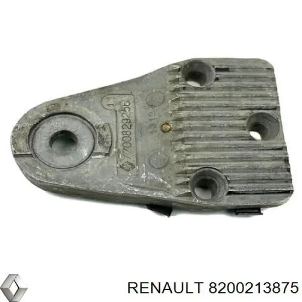  8200213875 Renault (RVI)