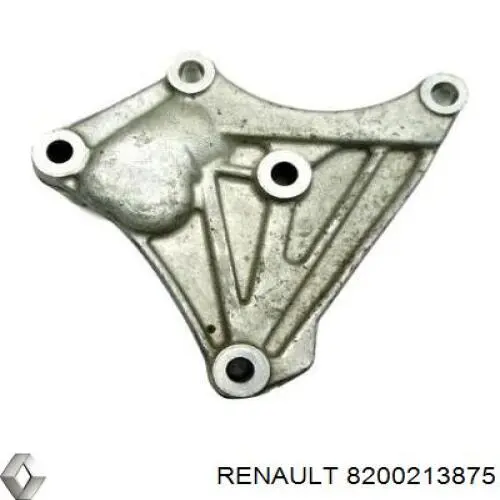 8200213875 Renault (RVI) 