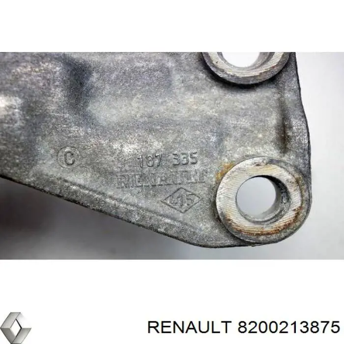 Купити 8200213875 Renault (RVI) 