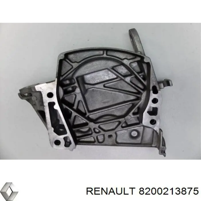  8200213875 Renault (RVI)
