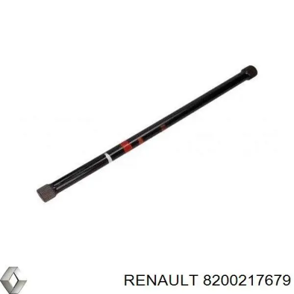 Торсіон задній лівий 8200217679 Renault (RVI)