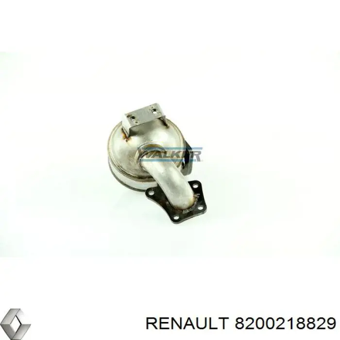  8200218829 Renault (RVI)