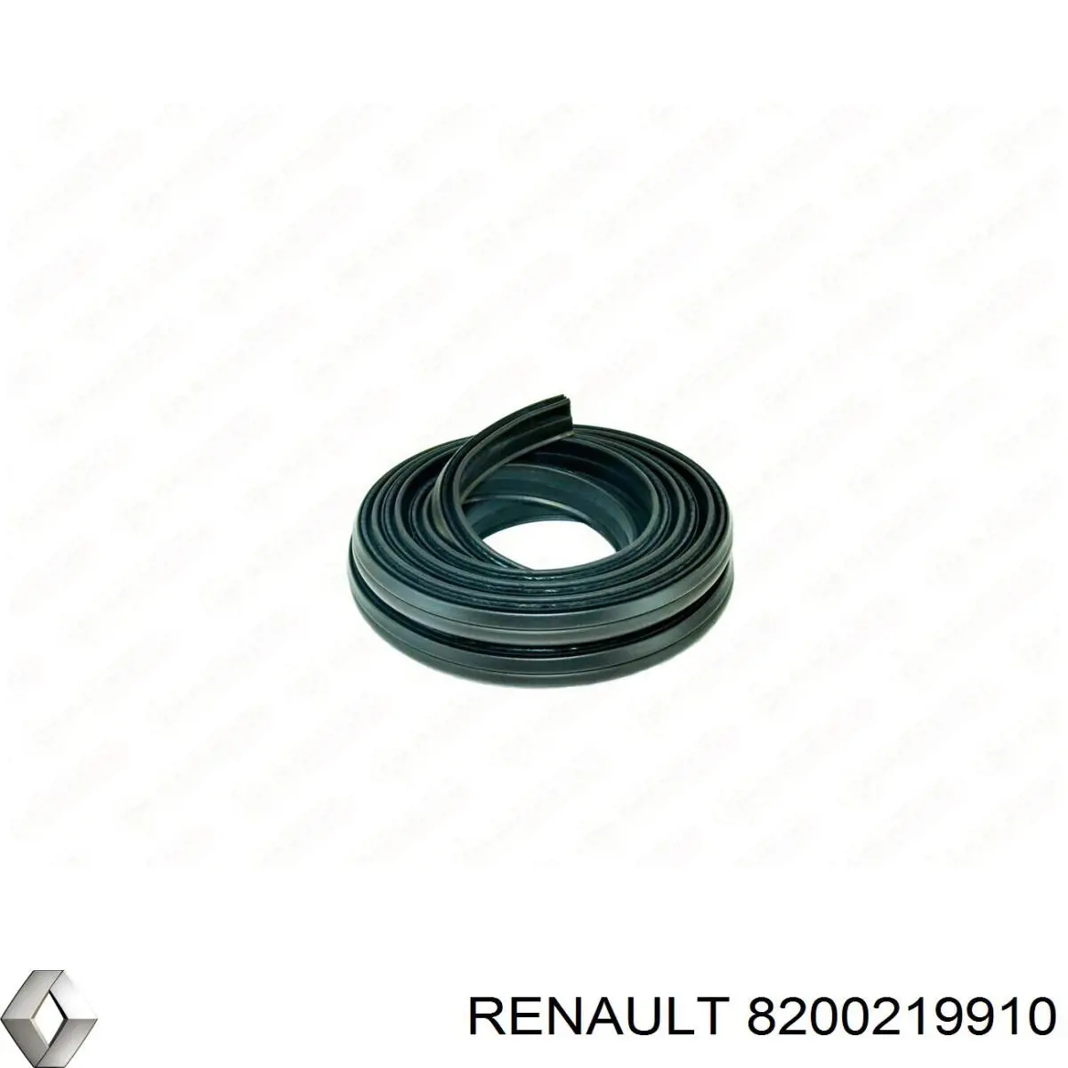 Купити 8200219910 Renault (RVI) Ущільнювач двері задньої (на кузові)