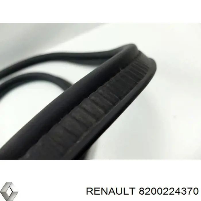 Купити 8200224370 Renault (RVI) Прокладка вакуумного насосу