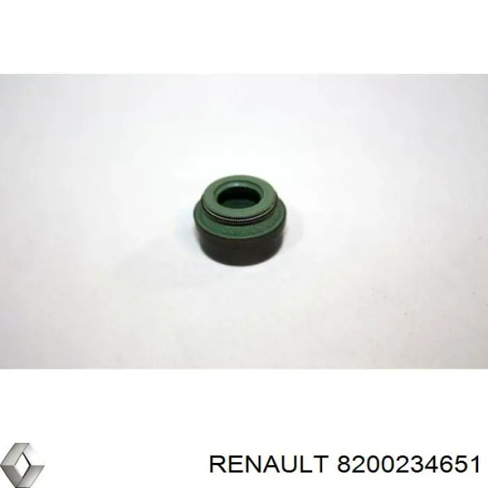 Купити 8200234651 Renault (RVI) Сальник клапана