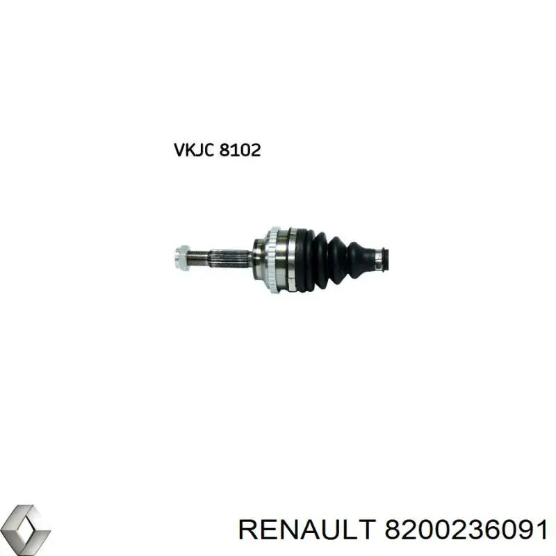  8200236091 Renault (RVI)