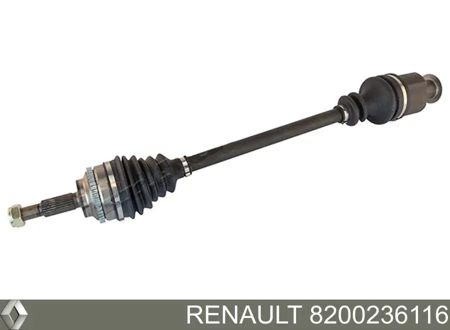 8200236116 Renault (RVI) 