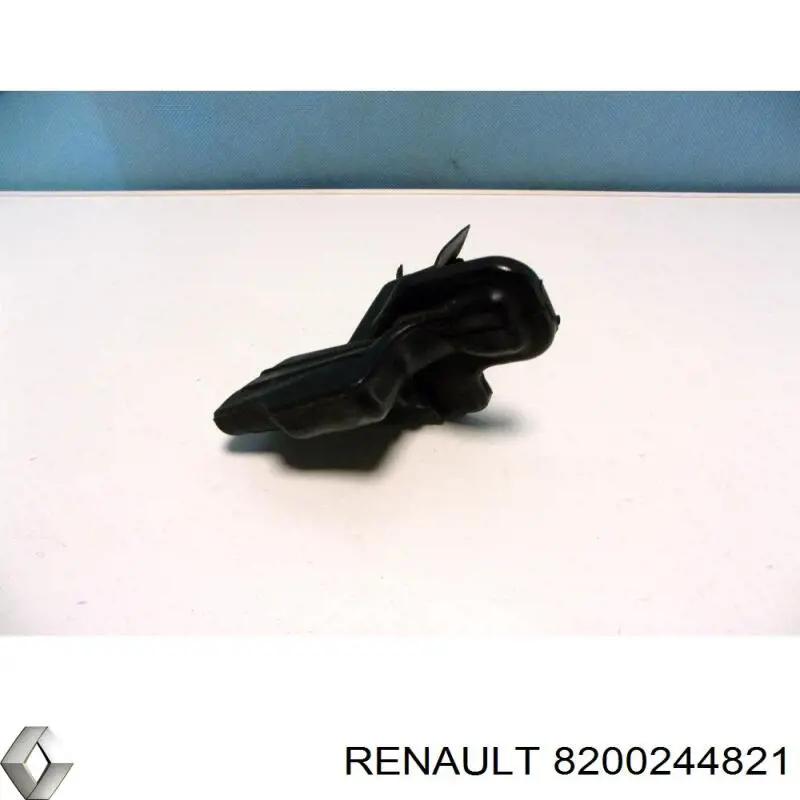  8200244821 Renault (RVI)