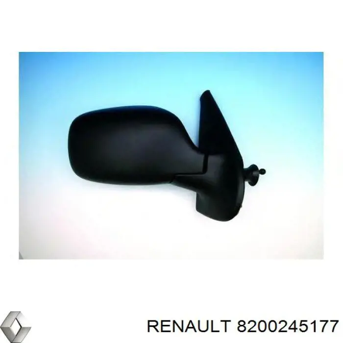 Накладка дзеркала заднього виду, права 8200245177 Renault (RVI)