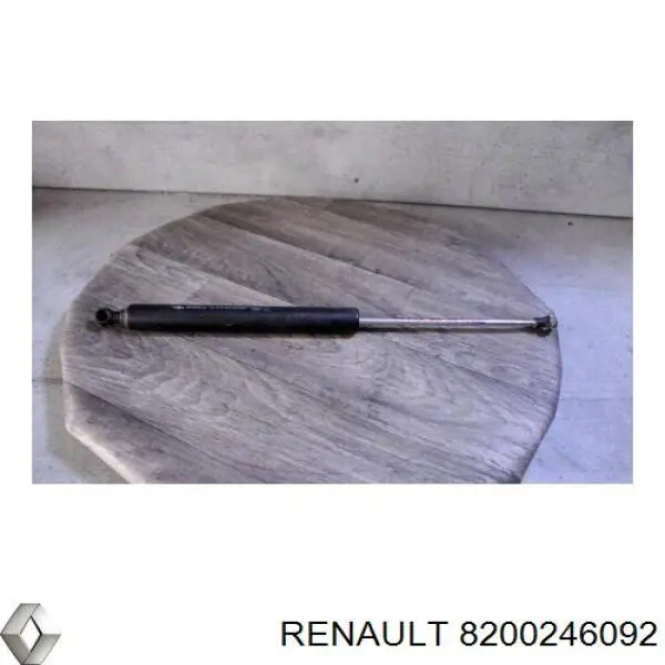 Купити Амортизатор багажника Renault Vel Satis  BJ0