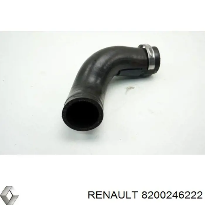  8200246222 Renault (RVI)