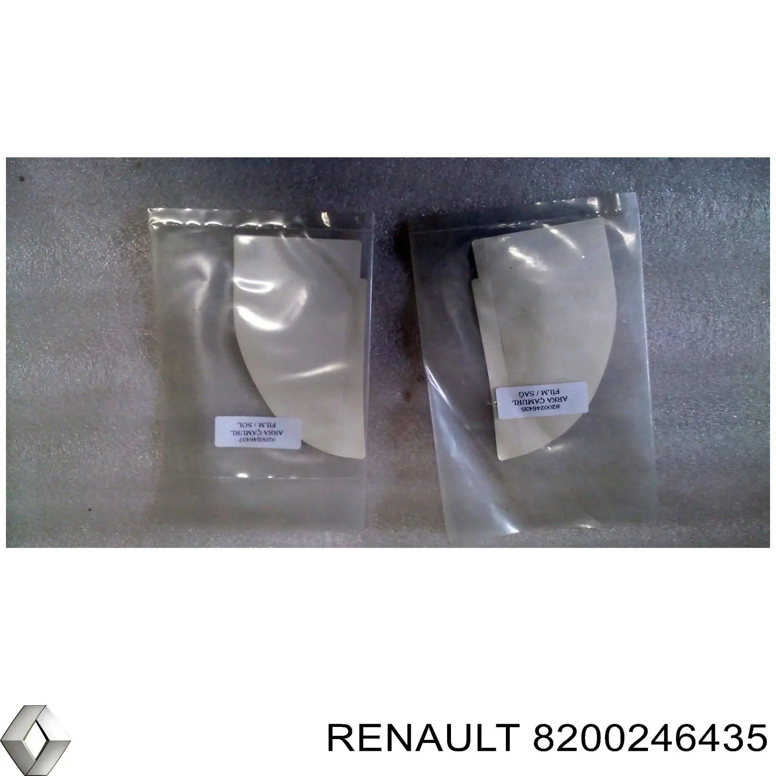 8200246435 Renault (RVI) Декоративна наклейка на крило заднє