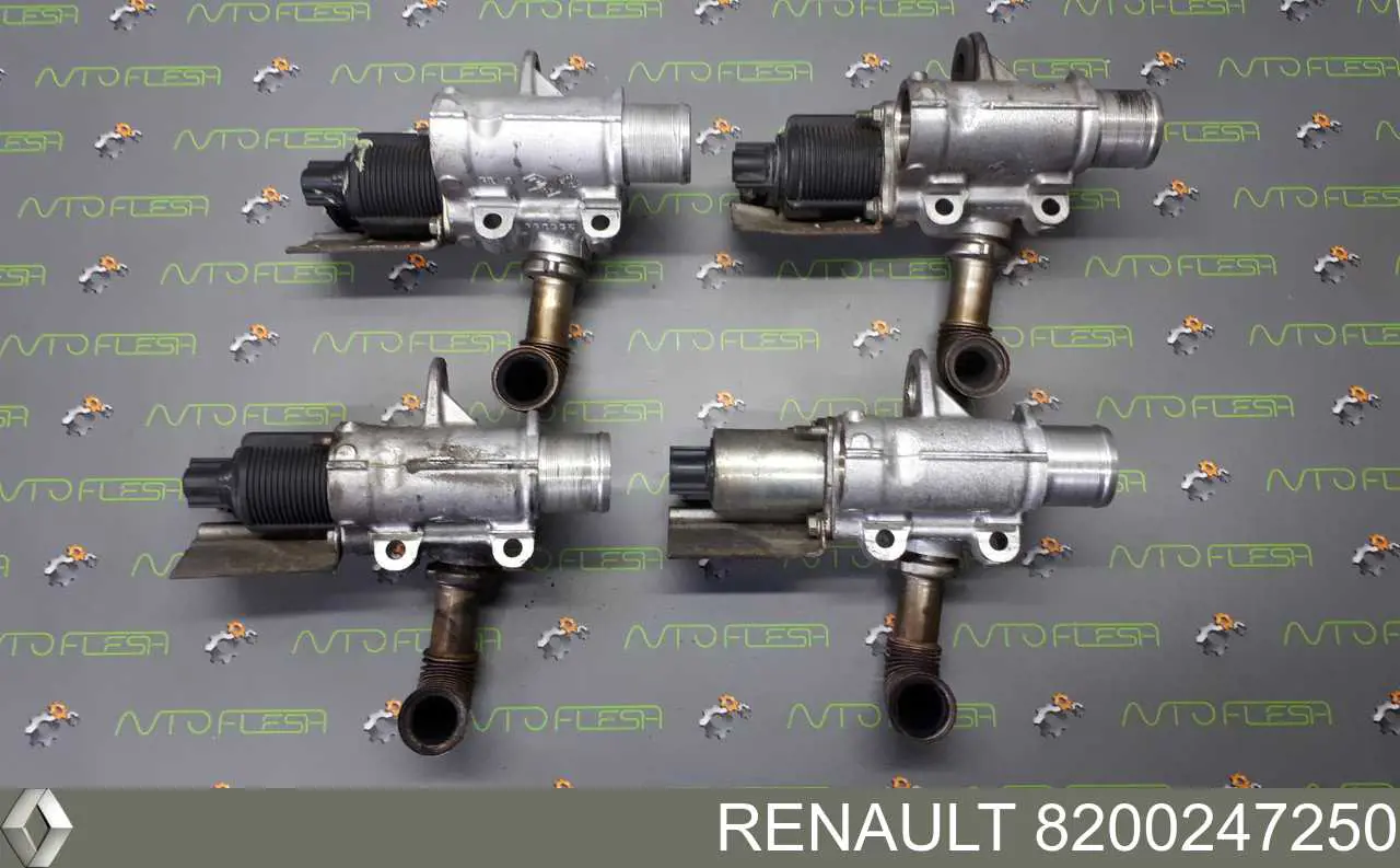 Клапан EGR Renault (RVI) 8200247250 ціна, від 19.00 USD