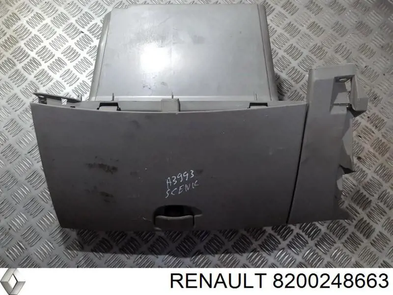 Купити 8200248663 Renault (RVI) 