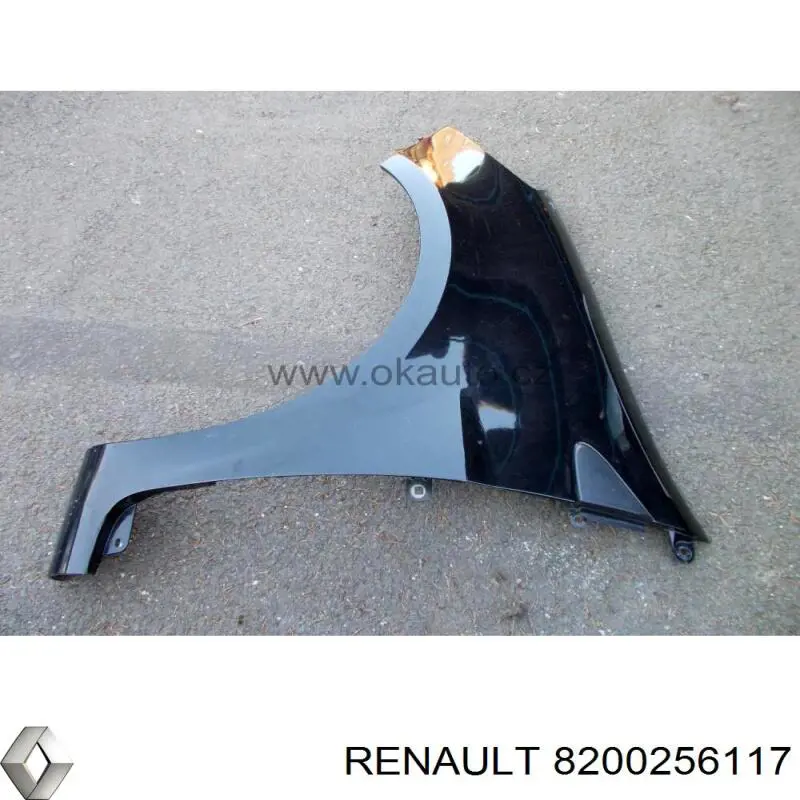8200256117 Renault (RVI) Переднє ліве крило