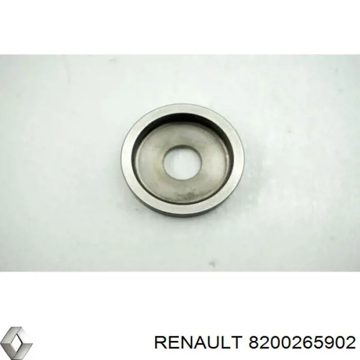 8200265902 Renault (RVI) 