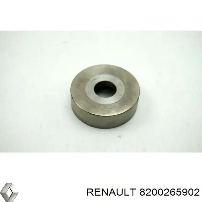  Renault (RVI) 8200265902 ціна, від 6.33 USD