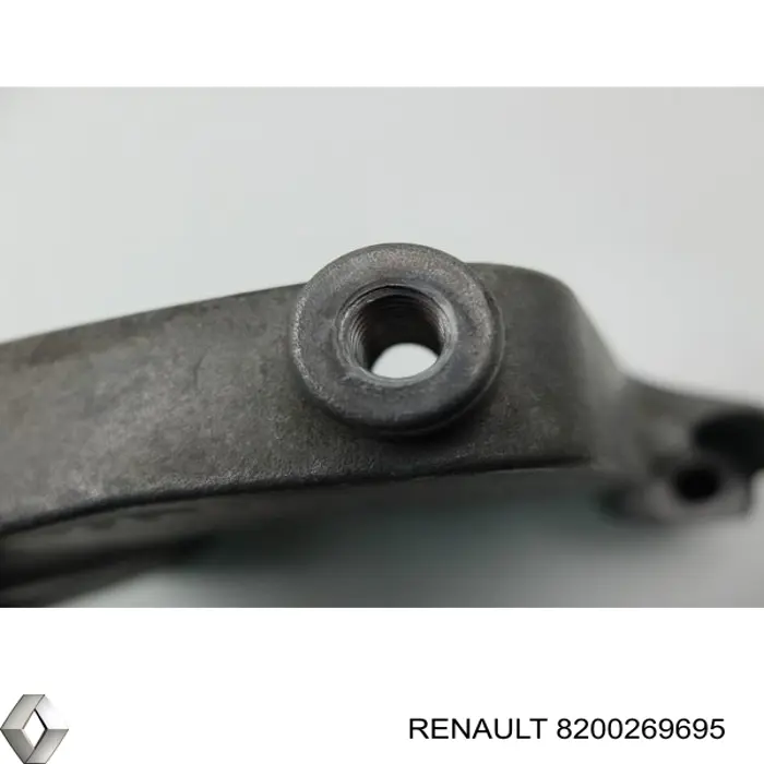 Купити 8200269695 Renault (RVI) 