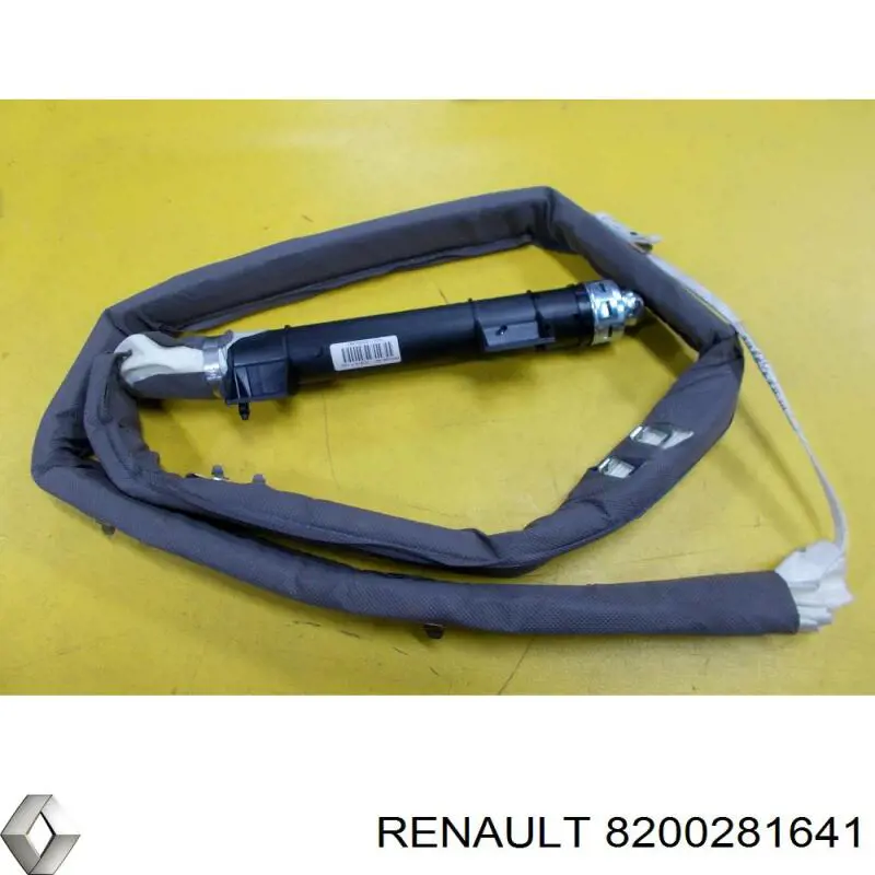 8200281641 Renault (RVI) 