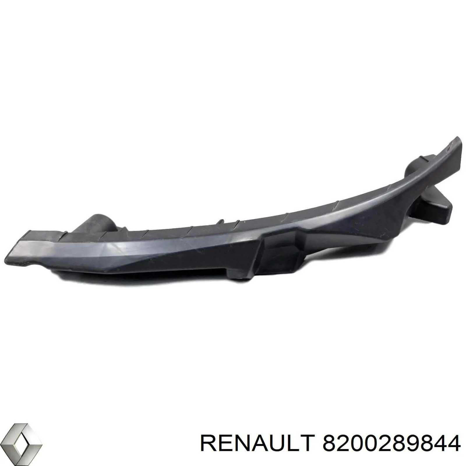  8200289844 Renault (RVI)