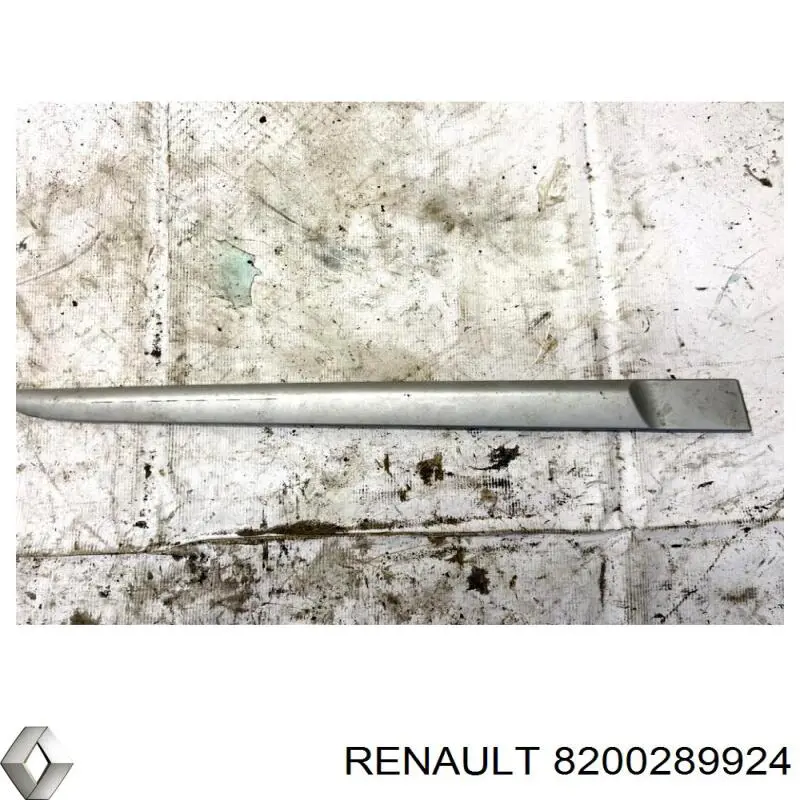 Купити 8200289924 Renault (RVI) 