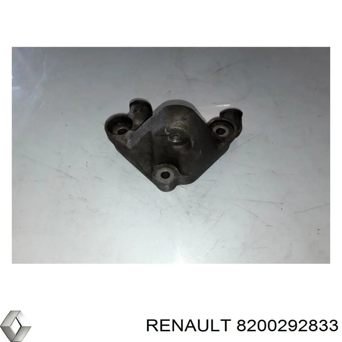 Купити 8200292833 Renault (RVI) 