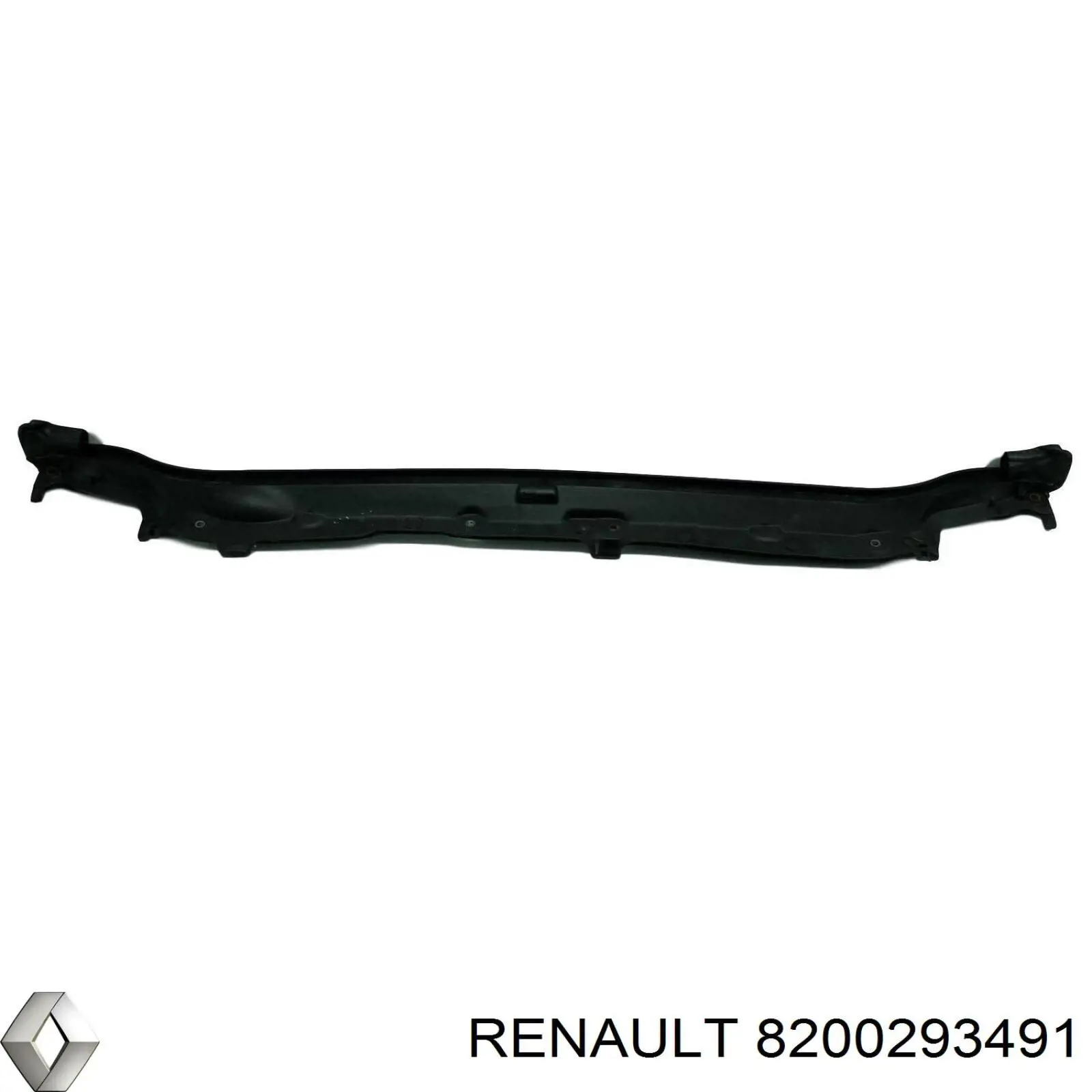  8200293491 Renault (RVI)