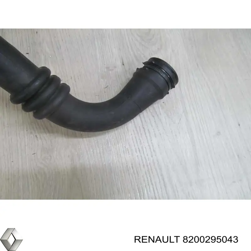 Купити 8200295043 Renault (RVI) 